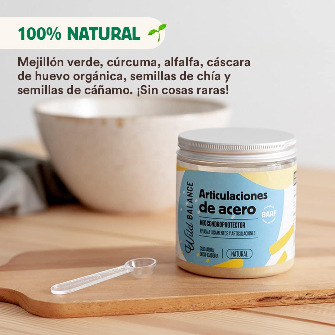 Articulaciones de Acero - WB