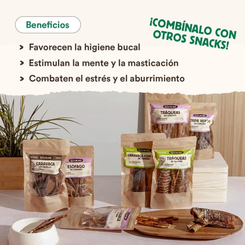 Caravaca de Camello - Wild Balance