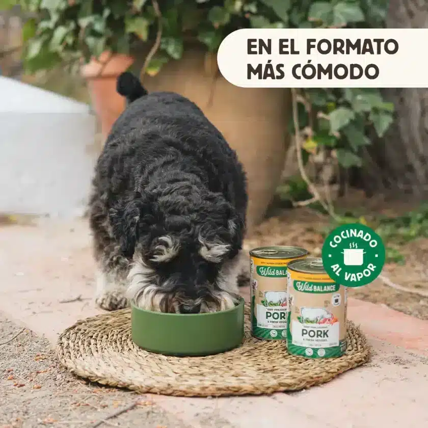 Lata de cerdo para perros