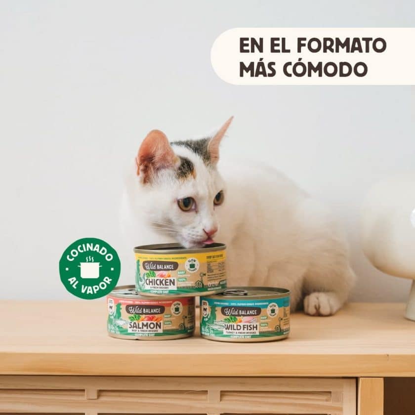 Gato con latas Wild balance Lata de Pollo para gatos 120g – BARF cocinado al vapor