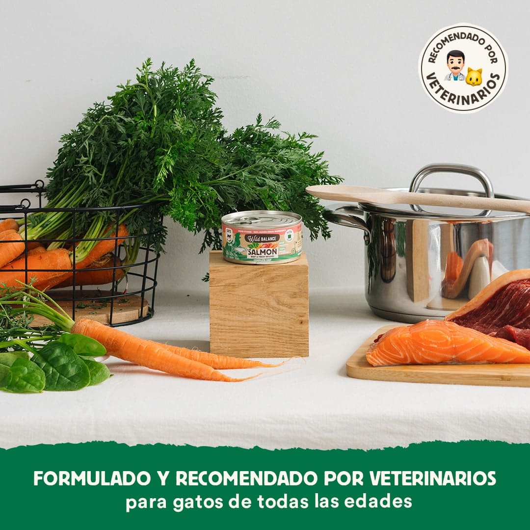 Lata de Salmón para gatos 120g – BARF cocinado al vapor