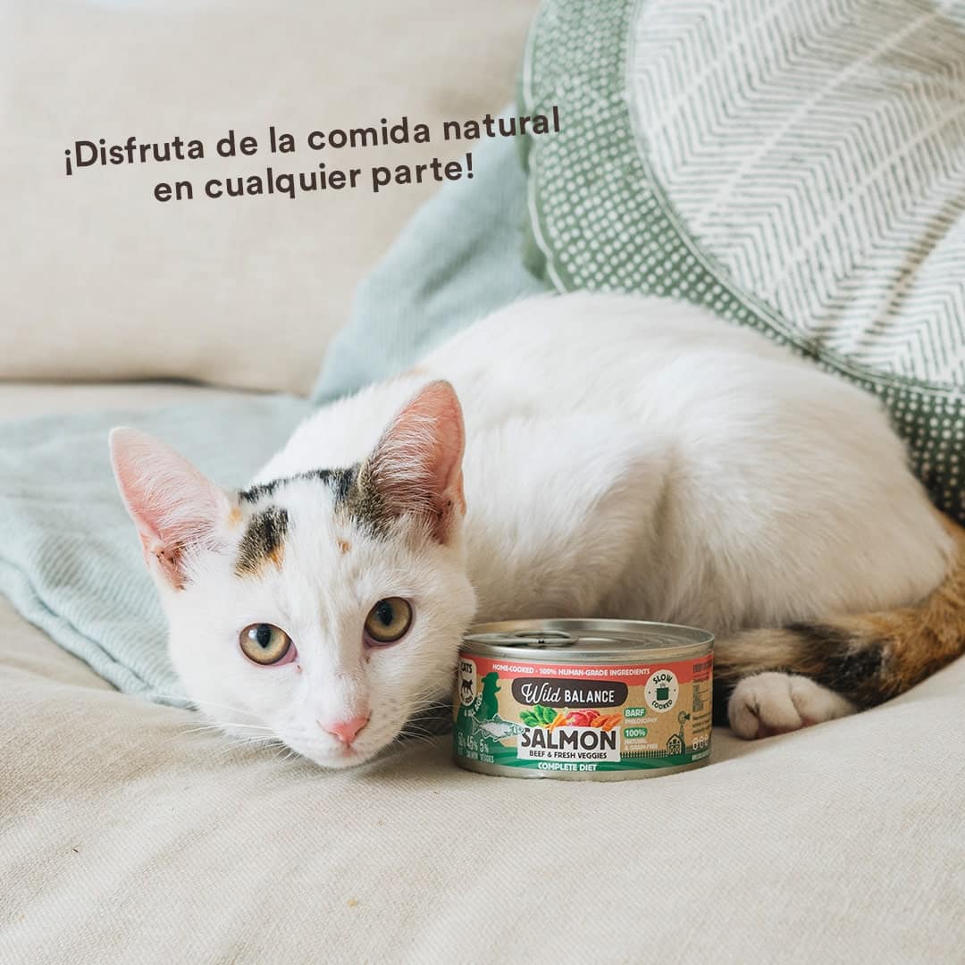 Lata de Salmón para gatos 120g – BARF cocinado al vapor