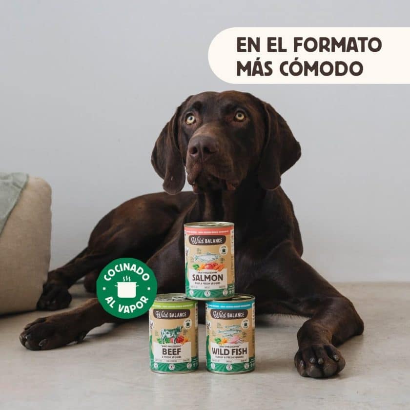 Latas cocinadas para perros 400g – BARF cocinado al vapor