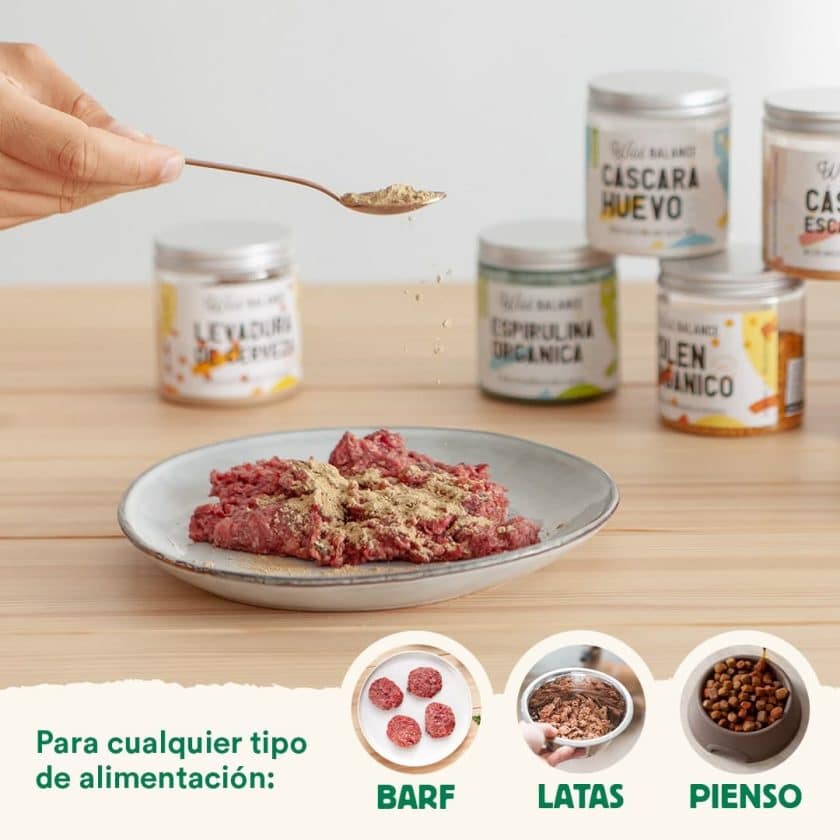 Mejillón Verde - Condroprotector