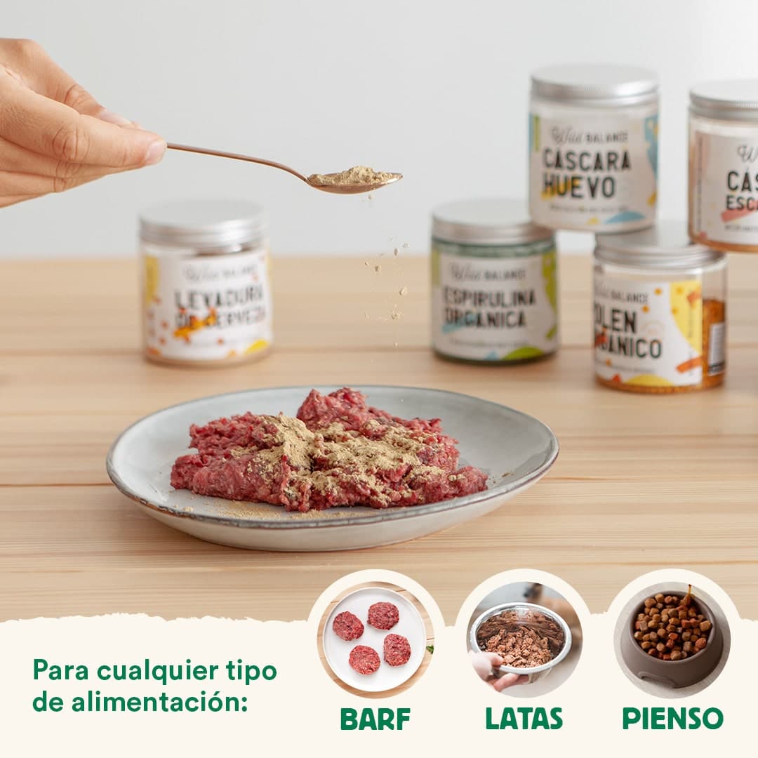Mejillón Verde - Condroprotector
