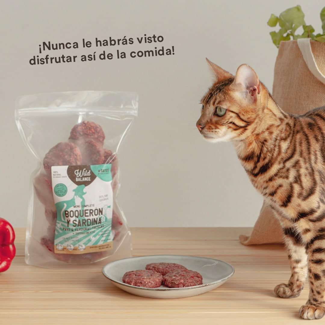 wild-balance_menu-barf-boqueron-y-sardina-gatos
