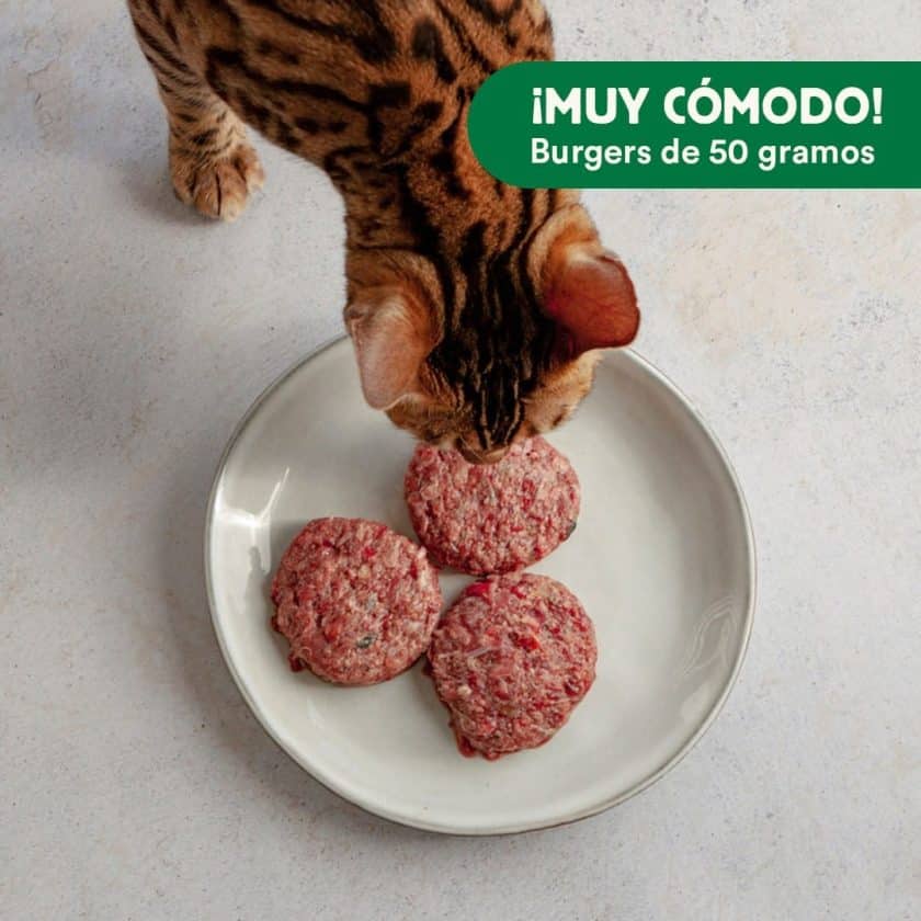 wild-balance_menu-barf-conejo-gatos