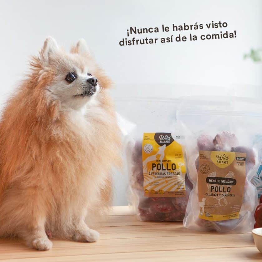 wild-balance_menu-barf-iniciacion-perros
