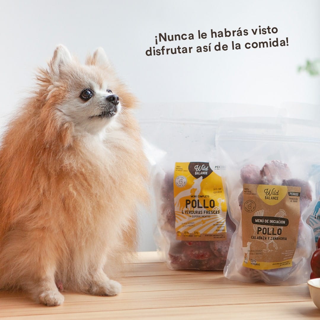 wild-balance_menu-barf-iniciacion-perros