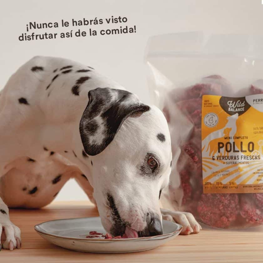 wild-balance_menu-barf-pollo-perros