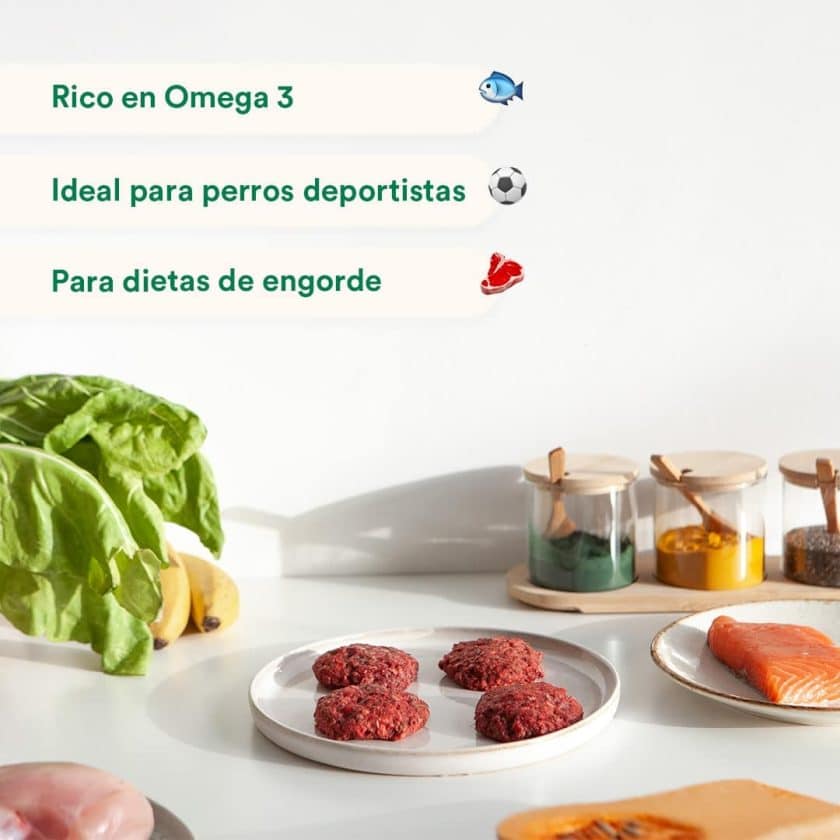 wild-balance_menu-barf-salmon-perros