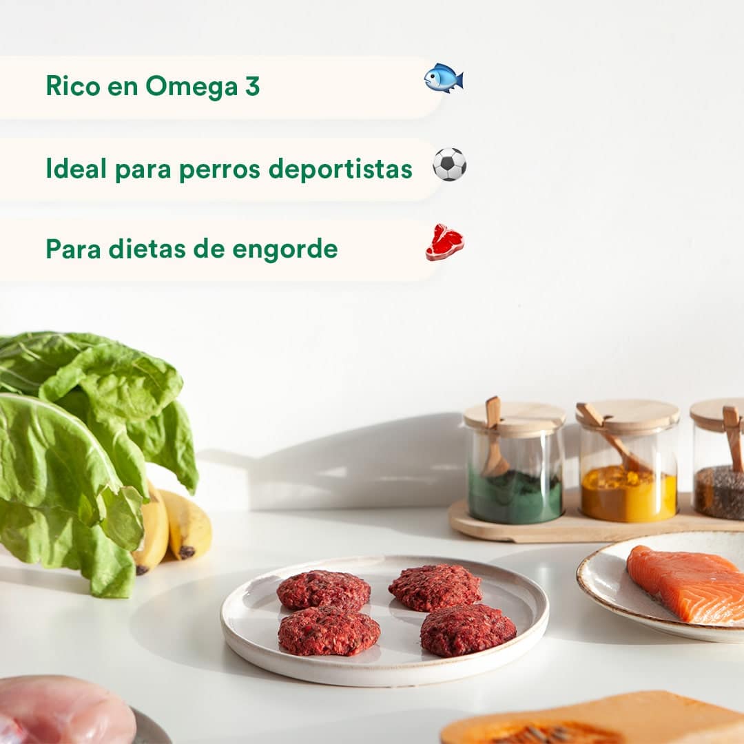 wild-balance_menu-barf-salmon-perros