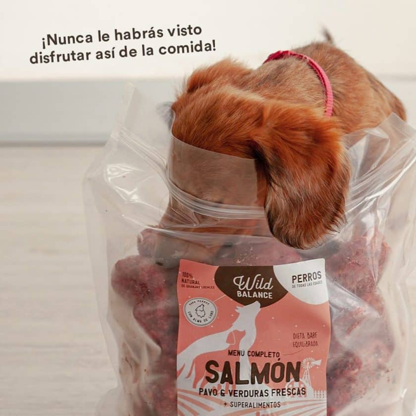 wild-balance_menu-barf-salmon-perros