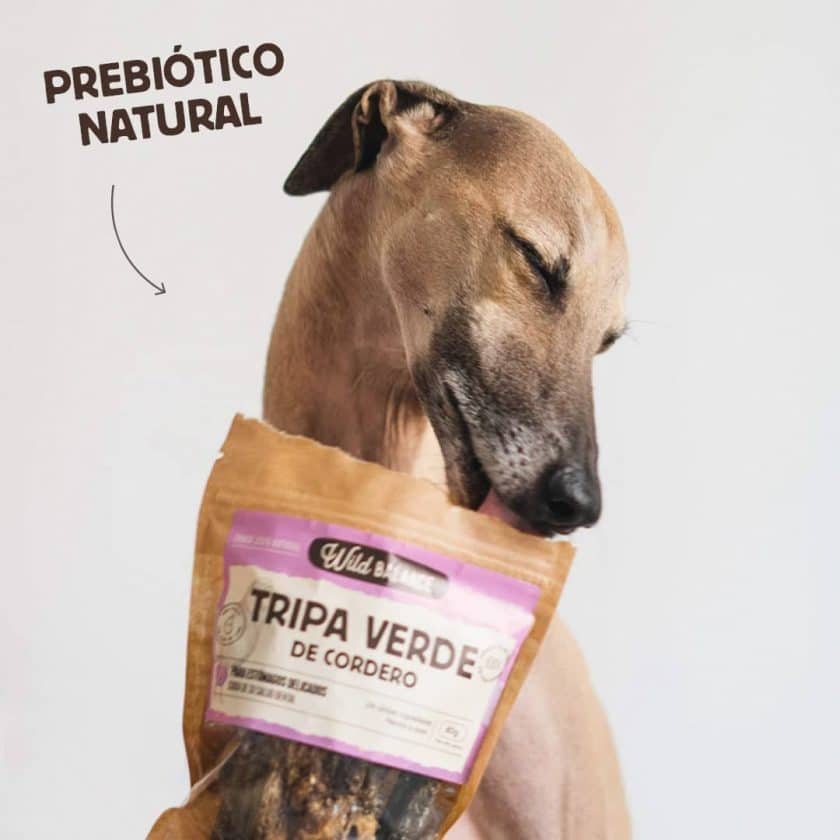 Tripa Verde de Cordero