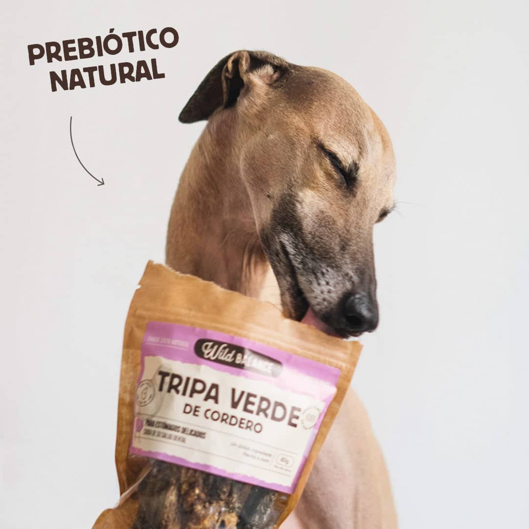Tripa Verde de Cordero