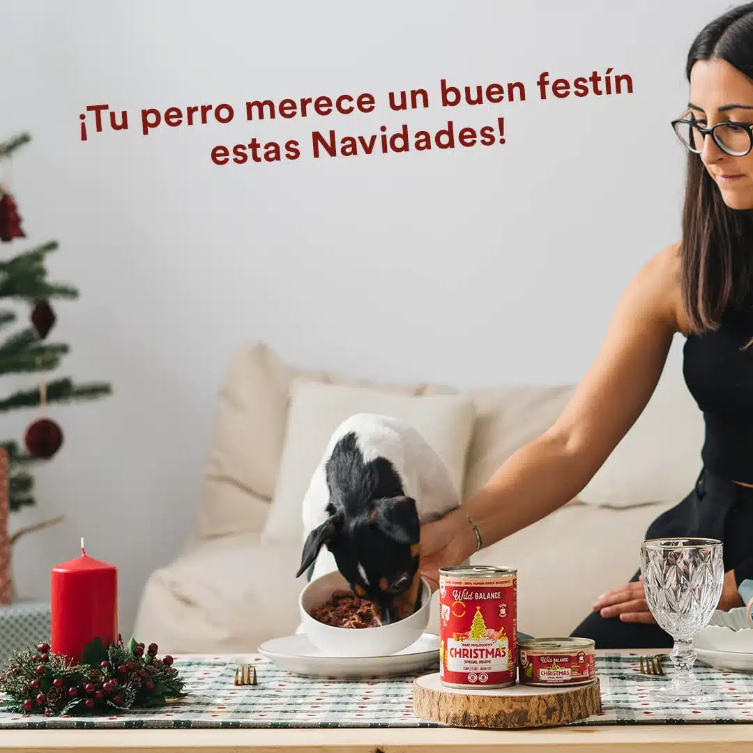 Lata de Navidad Wild Balance