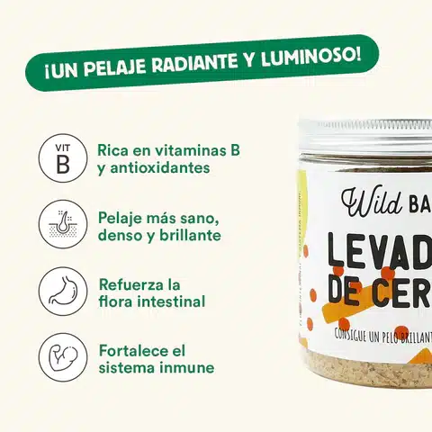 Levadura de cerveza en polvo 90gr Levadura de cerveza en polvo 90gr