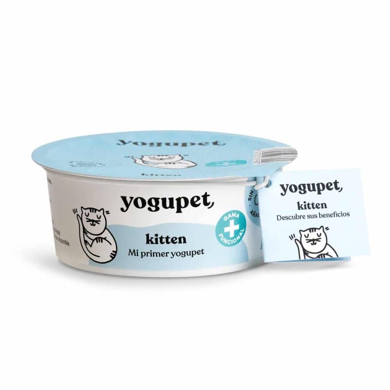 Yogupet Kitten