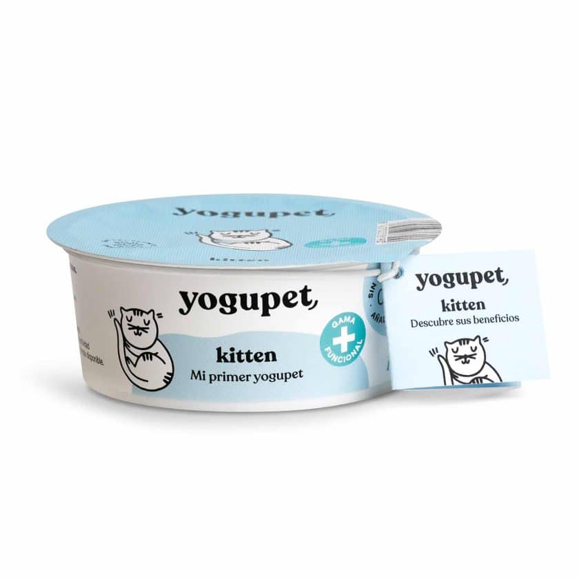 Yogupet Kitten