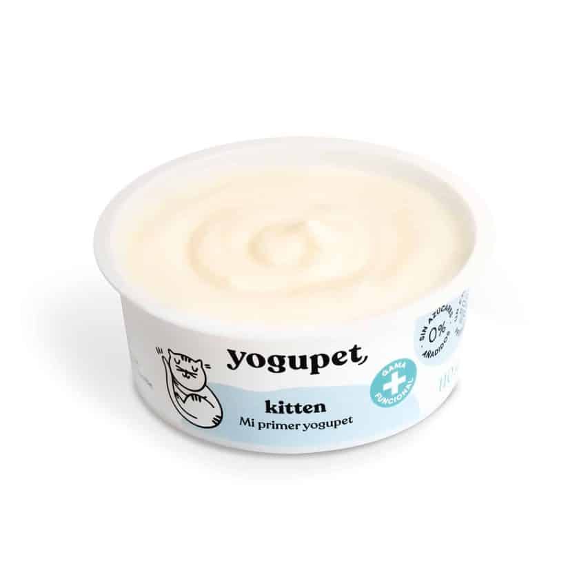 Yogupet Kitten